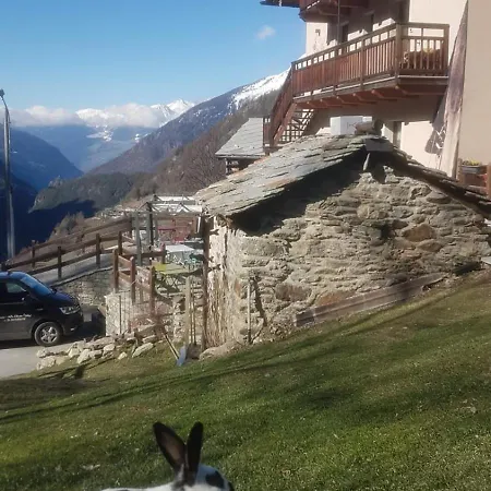 Alpe Rebelle Nocleg ze śniadaniem