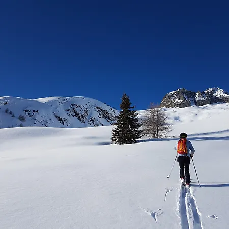 Bed & Breakfast Alpe Rebelle