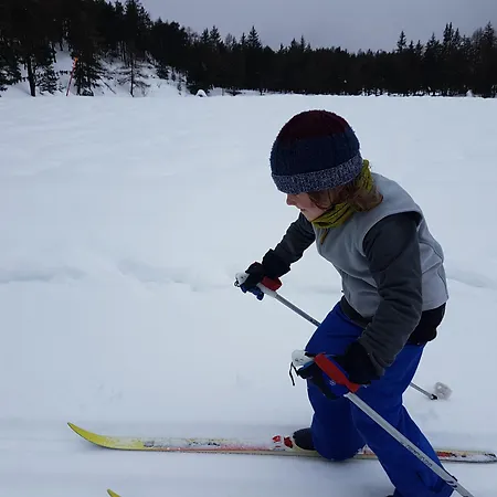 Alpe Rebelle فندق مبيت وإفطار 3*