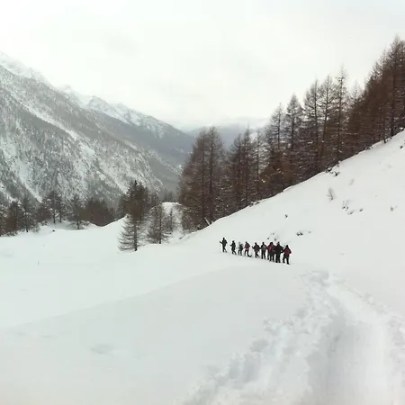 Frühstückspension Alpe Rebelle 3*