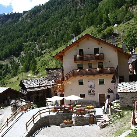 Alpe Rebelle 3*