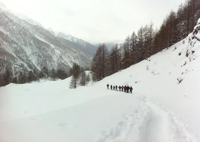 Nocleg ze śniadaniem Alpe Rebelle 3*